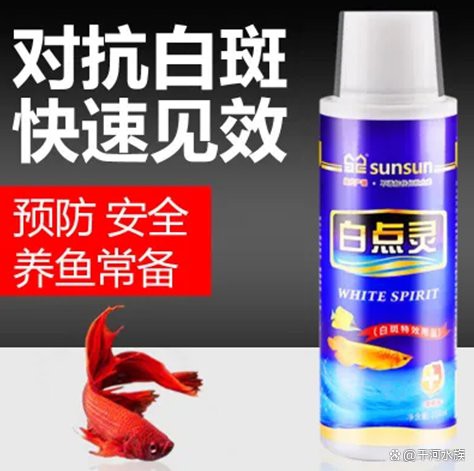 十大名牌硝化細(xì)菌排行，京東硝化細(xì)菌品牌排行榜京東硝化細(xì)菌品牌排行榜京東硝化細(xì)菌品牌排行榜 十大名牌硝化細(xì)菌排行，京東硝化細(xì)菌品牌排行榜京東硝化細(xì)菌品牌排行榜京東硝化細(xì)菌品牌排行榜 龍魚論壇 第2張
