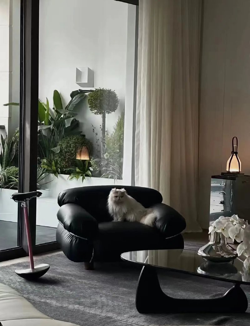 十大最不吉利擺件，十大最不吉利擺件的夫妻離婚率高出平均值21%