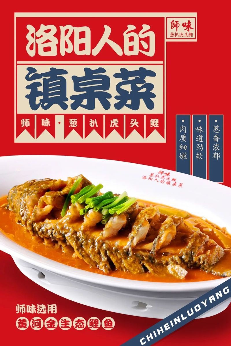 洛陽龍魚店，如何挑選高品質的洛陽龍魚店 洛陽龍魚店，如何挑選高品質的洛陽龍魚店 全國水族館企業名錄 第1張