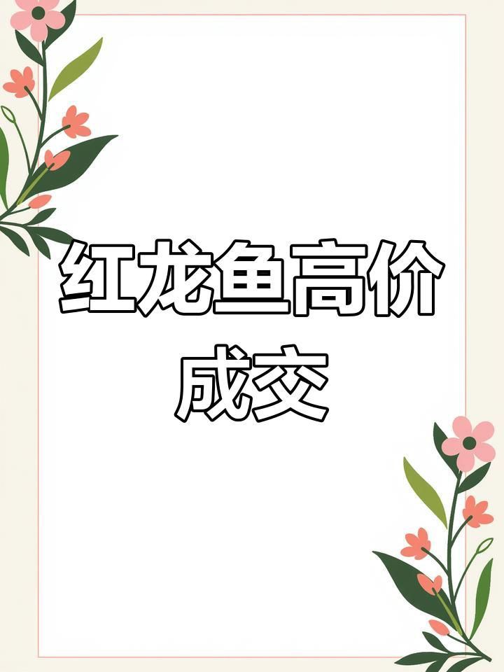 印尼紅龍魚的市場趨勢，印尼紅龍魚價格為何堪比保時捷心靈的游樂場