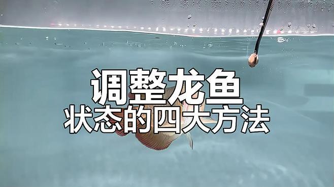 如何判斷龍魚是否恢復？，判斷龍魚是否恢復需綜合多方面觀察其行為、生理指標 如何判斷龍魚是否恢復？，判斷龍魚是否恢復需綜合多方面觀察其行為、生理指標 龍魚百科 第3張