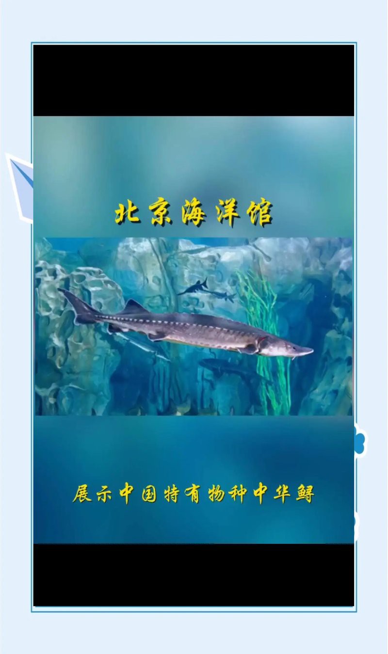 <strong><mark>海淀</mark></strong>水族店，北京<strong><mark>海淀</mark></strong>區(qū)擁有多家特色鮮明的水族店太平洋海底世界