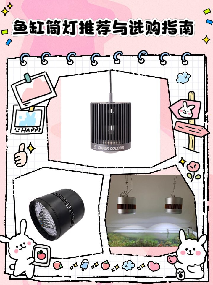 十大最建議買的增艷燈，\