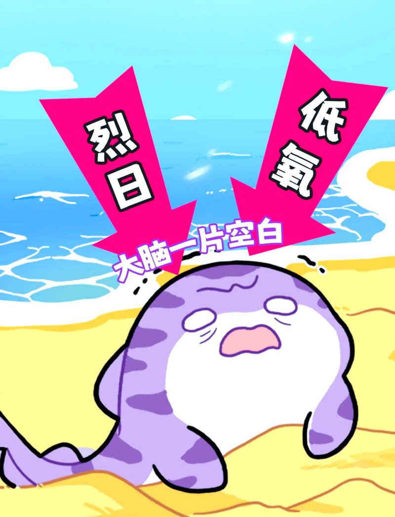 什么鯊魚最好養，新手養鯊魚應該注意什么？