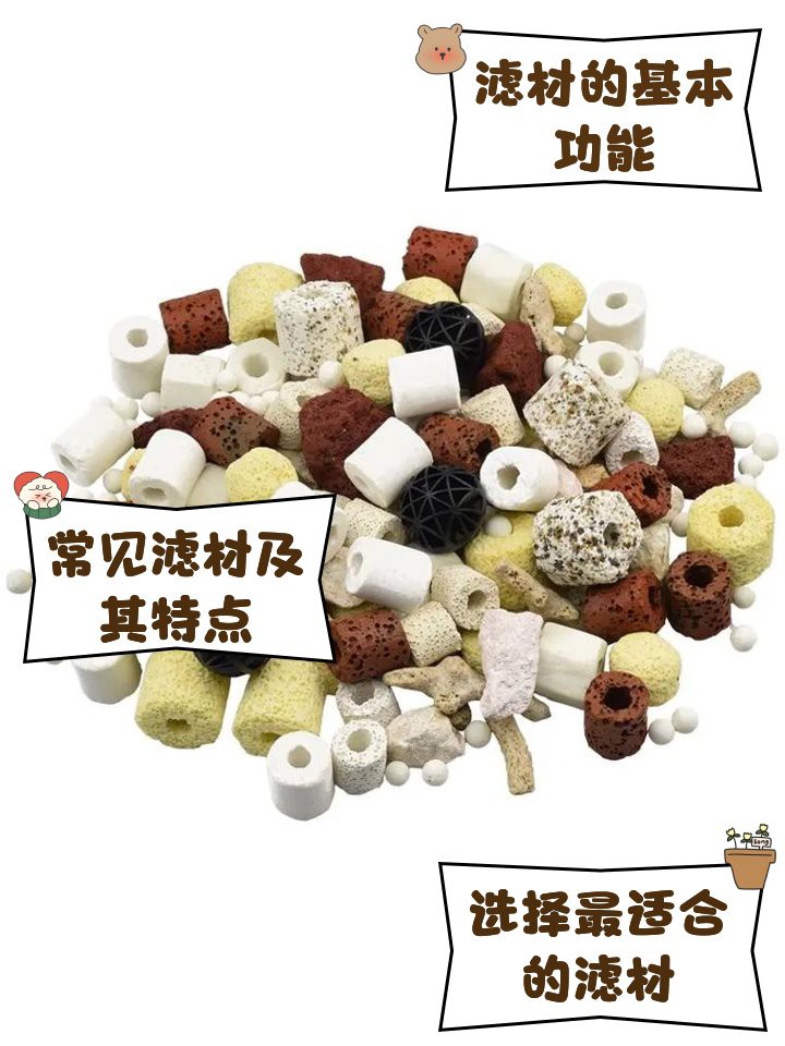 十大公認最好的濾材，水族養護領域十大公認的十大最佳濾材pm4