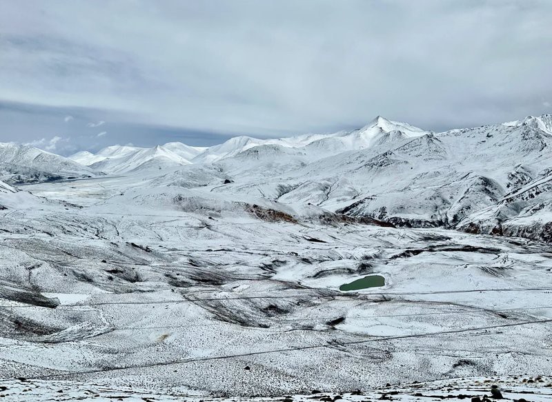 札達龍魚店，如何找到札達地區(qū)的龍魚店