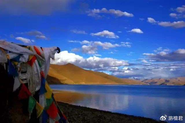 札達龍魚店，如何找到札達地區(qū)的龍魚店