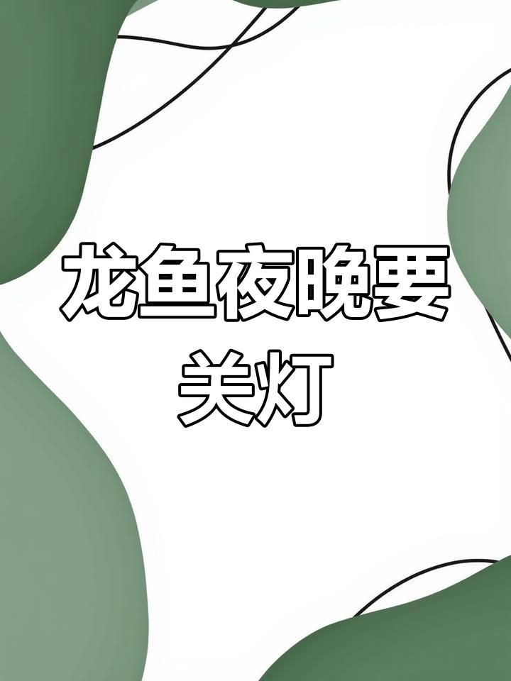 紅龍魚晚上關燈的害處，新買龍魚晚上需關燈嗎 紅龍魚晚上關燈的害處，新買龍魚晚上需關燈嗎 龍魚百科 第1張