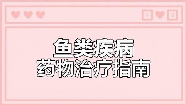 有哪些魚類專用腸炎藥物推薦？，魚類專用腸炎藥物推薦 有哪些魚類專用腸炎藥物推薦？，魚類專用腸炎藥物推薦 龍魚百科 第2張