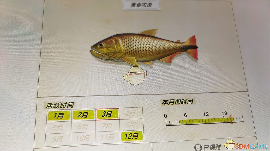 動森黃金河虎魚怎么刷，《動物森友會》黃金河虎刷取技巧 動森黃金河虎魚怎么刷，《動物森友會》黃金河虎刷取技巧 龍魚論壇 第2張