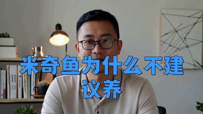 米奇魚為什么不建議養,為啥說別養米奇魚這些養殖真相得弄明白 龍魚百科 第4張 米奇魚為什么不建議養,為啥說別養米奇魚這些養殖真相得弄明白 米奇魚為什么不建議養,為啥說別養米奇魚這些養殖真相得弄明白 龍魚百科 第4張