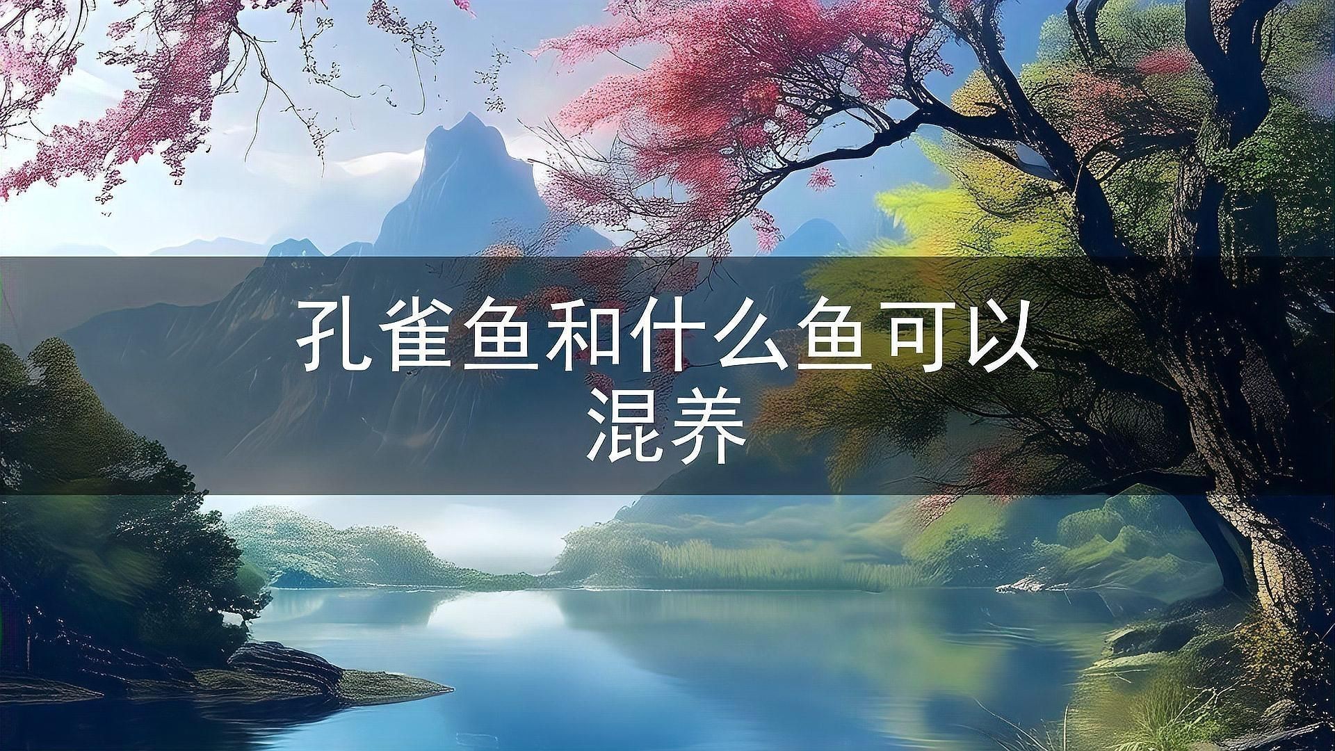孔雀魚可以和什么魚一起混養(yǎng)，孔雀魚可混養(yǎng)與哪些魚類混養(yǎng)最適合與哪些魚類混養(yǎng) 孔雀魚可以和什么魚一起混養(yǎng)，孔雀魚可混養(yǎng)與哪些魚類混養(yǎng)最適合與哪些魚類混養(yǎng) 龍魚百科 第7張