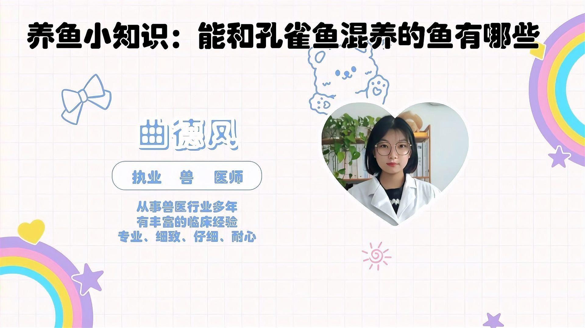 孔雀魚可以和什么魚一起混養(yǎng)，孔雀魚可混養(yǎng)與哪些魚類混養(yǎng)最適合與哪些魚類混養(yǎng) 孔雀魚可以和什么魚一起混養(yǎng)，孔雀魚可混養(yǎng)與哪些魚類混養(yǎng)最適合與哪些魚類混養(yǎng) 龍魚百科 第4張