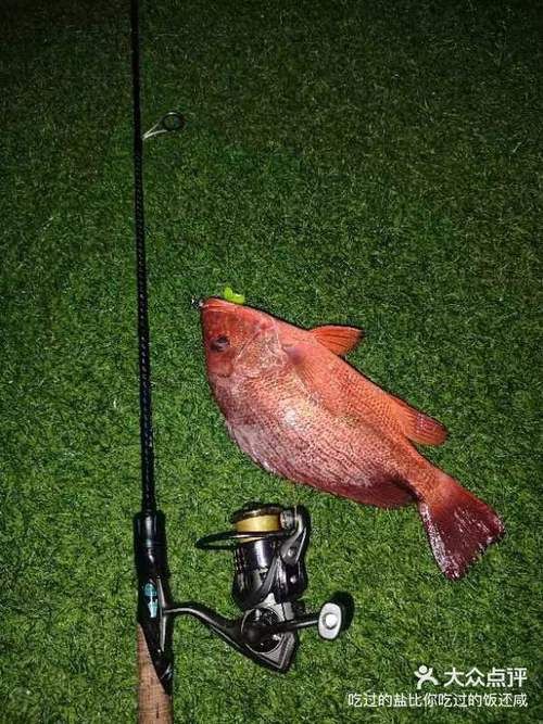 紅友魚圖片，紫紅笛鯛的營養(yǎng)價(jià)值與美味烹飪指南愛在星辰大海