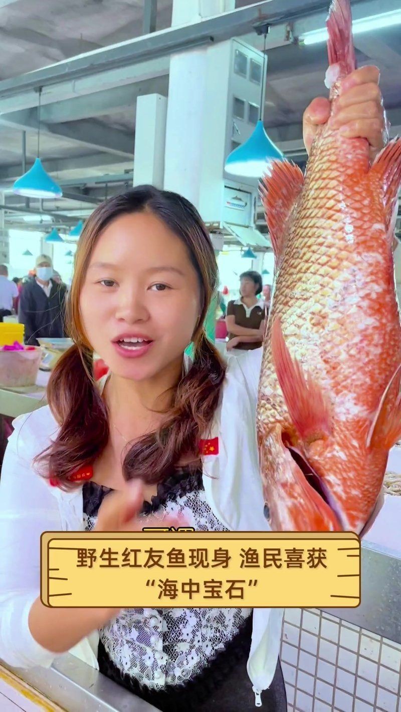 紅友魚圖片，紫紅笛鯛的營養(yǎng)價(jià)值與美味烹飪指南愛在星辰大海
