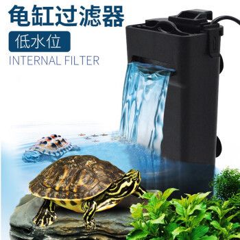 森悠（SARYOR）魚缸：森悠魚缸用戶評價匯總小魚缸適合養什么魚缸