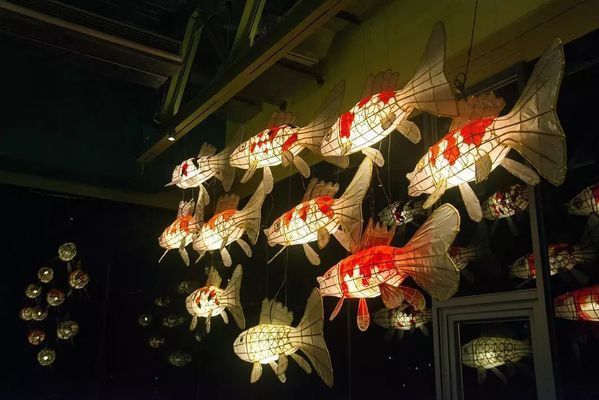 馬印龍魚燈怎么樣好看嗎（馬印龍魚燈與同類產(chǎn)品對(duì)比，馬印龍魚燈適用魚種推薦）