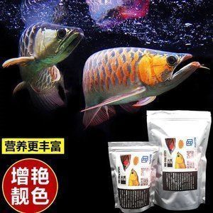 馬印龍魚燈怎么樣好看嗎（馬印龍魚燈與同類產(chǎn)品對(duì)比，馬印龍魚燈適用魚種推薦）