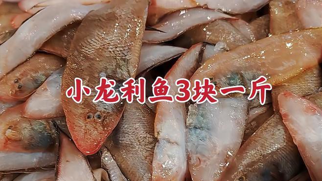 小金龍魚的價格是多少？，關于“小金龍魚的價格”，目前市場上存在較大差異