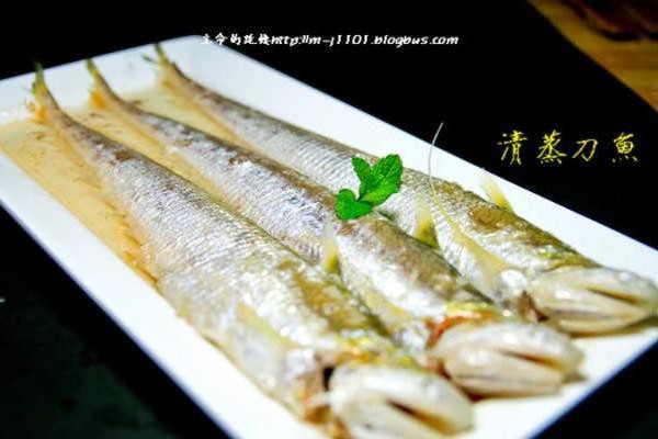 刀魚的最佳吃法，《刀魚的最佳吃法》刀魚的最佳吃法：清蒸刀魚的做法