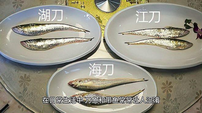 刀魚和帶魚哪個貴，刀魚與帶魚價格大揭秘,差異背后竟有這些原因