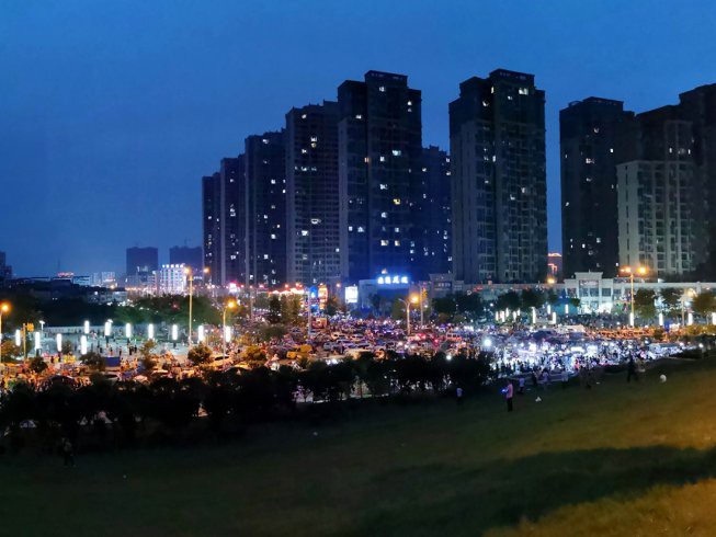 監利龍魚店，監利市有哪些知名的龍魚店