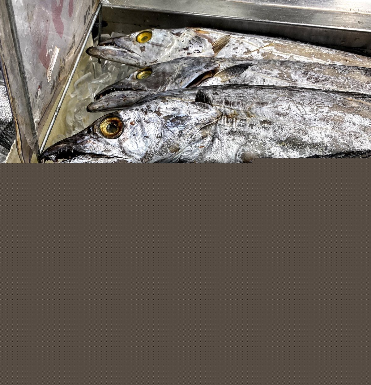 刀魚為什么這么貴，刀魚價格昂貴的核心原因在于其稀缺性與高市場需求的雙重作用