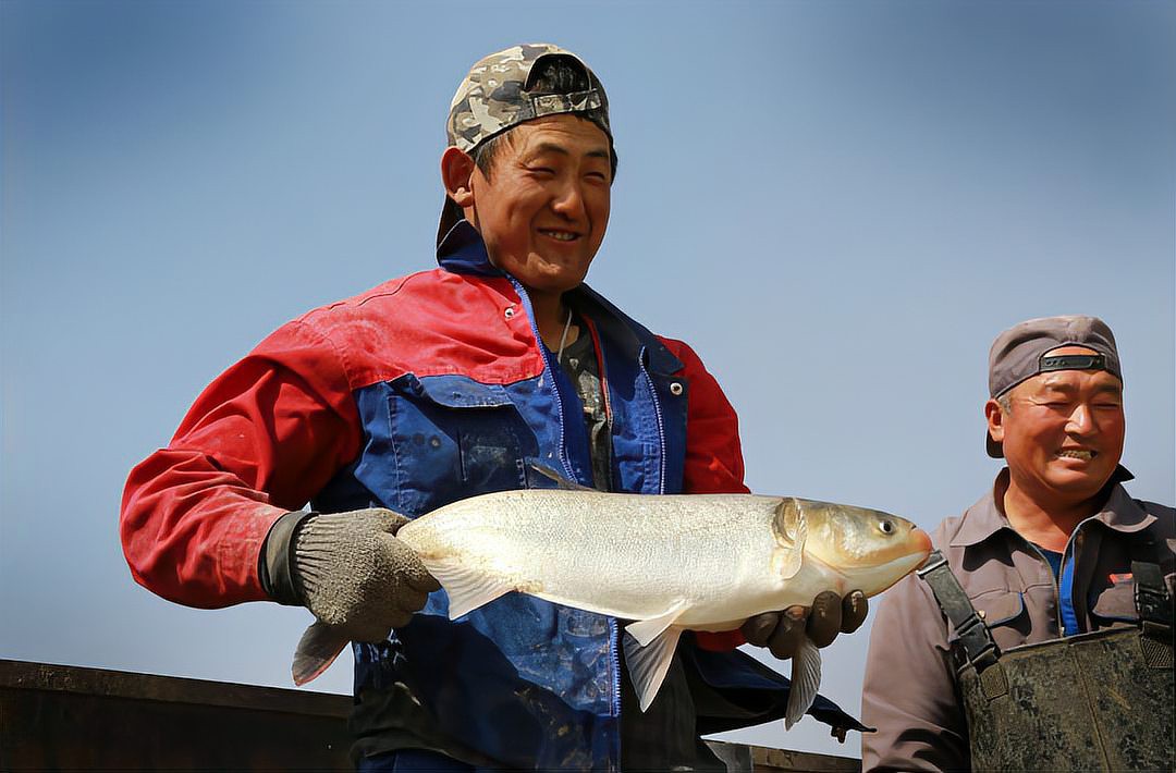 肇州龍魚店，肇州縣金之龍魚行開業(yè)