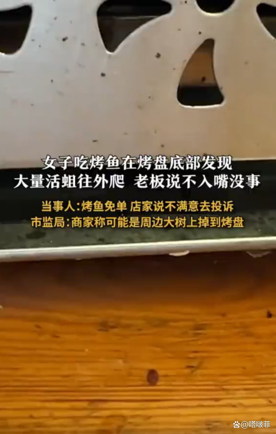 肇州龍魚店，肇州縣金之龍魚行開業(yè)