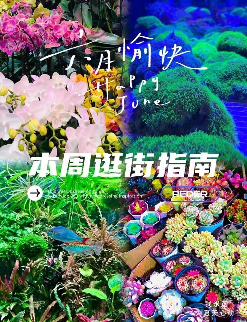 沈陽水族店，沈陽市鐵西區宏渤海水族經銷店打卡攜程旅行攜程旅行