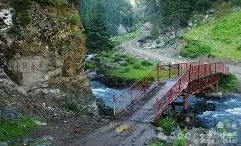 廣東山上有狼嗎，廣東山區狼的保護