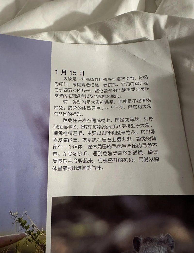 海象智商相當于幾歲，動物的智商相當于人類幾歲孩子的智商 海象智商相當于幾歲，動物的智商相當于人類幾歲孩子的智商 龍魚論壇 第7張