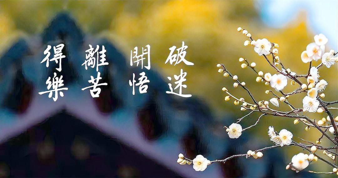 佛教吃蝦的果報，佛教:因果不虛,這3件事最損福報,不要再做了! 佛教吃蝦的果報，佛教:因果不虛,這3件事最損福報,不要再做了! 龍魚論壇 第6張