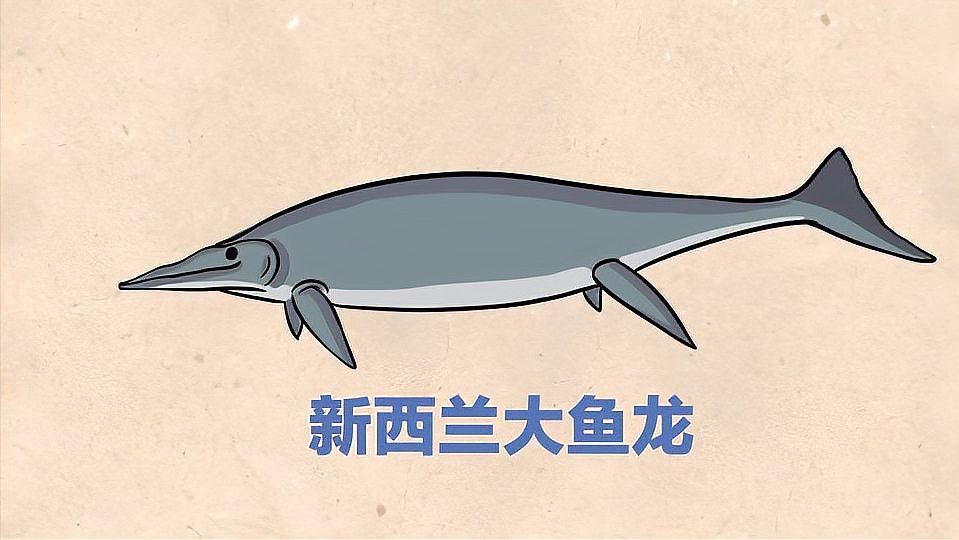世界上最大的大魚龍，新西蘭大魚龍:有史以來最大的動物秒懂百科