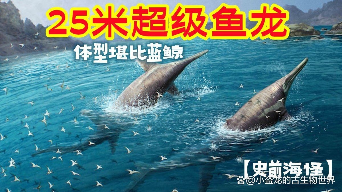世界上最大的大魚龍，新西蘭大魚龍:有史以來最大的動物秒懂百科 世界上最大的大魚龍，新西蘭大魚龍:有史以來最大的動物秒懂百科 龍魚百科 第6張