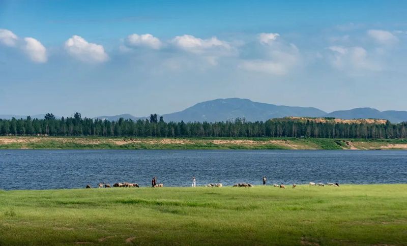 汶上龍魚店，汶上龍魚店開業啦！ 汶上龍魚店，汶上龍魚店開業啦！ 全國水族館企業名錄 第4張