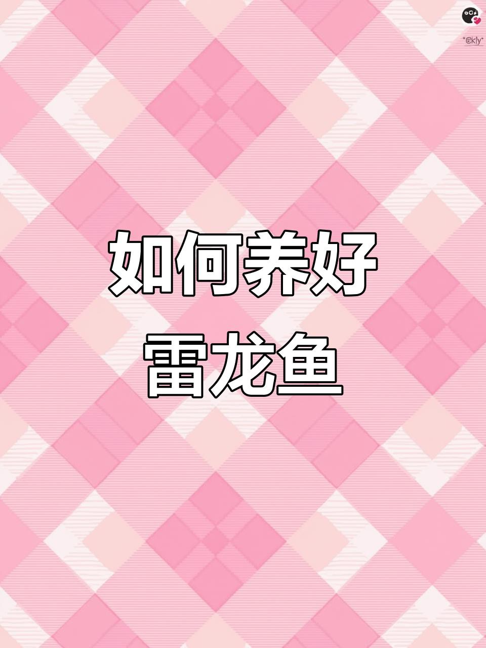 哪些雷龍魚適合新手？，哪些雷龍魚適合新手飼養(yǎng)
