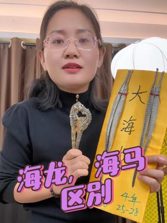 如何區分不同種類的海龍？，好貨分享藥材滋補海龍海馬和海龍作用一樣就是一個野生