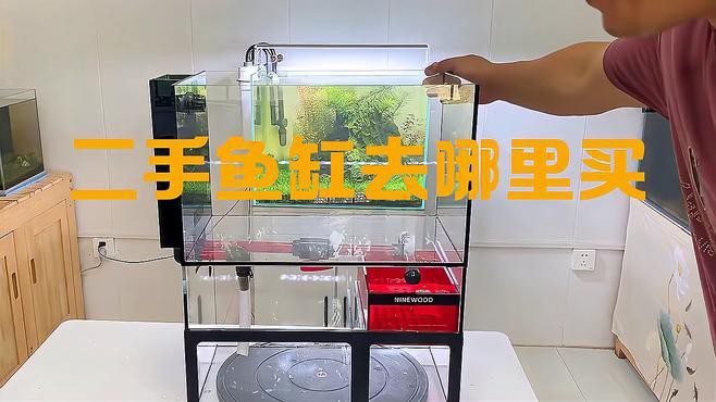 二手魚缸哪里買最便宜，二手魚缸哪里買最便宜二手魚缸購買渠道及性價比分析