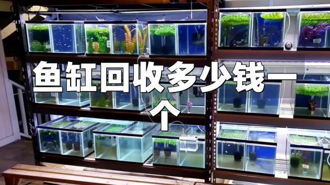 二手魚缸哪里買最便宜，二手魚缸哪里買最便宜二手魚缸購買渠道及性價比分析