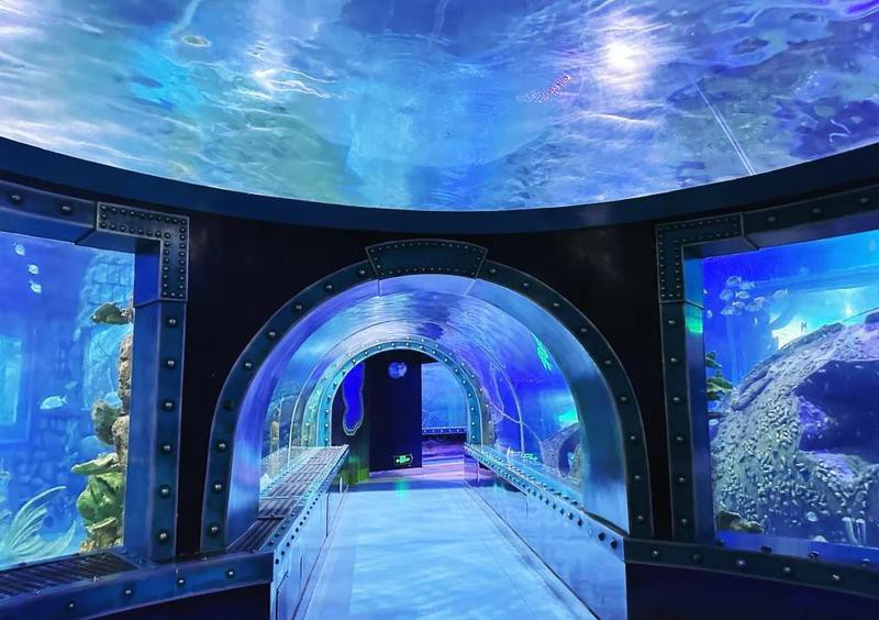 蓮湖水族店，西安市蓮湖區(qū)莎美婭水族店