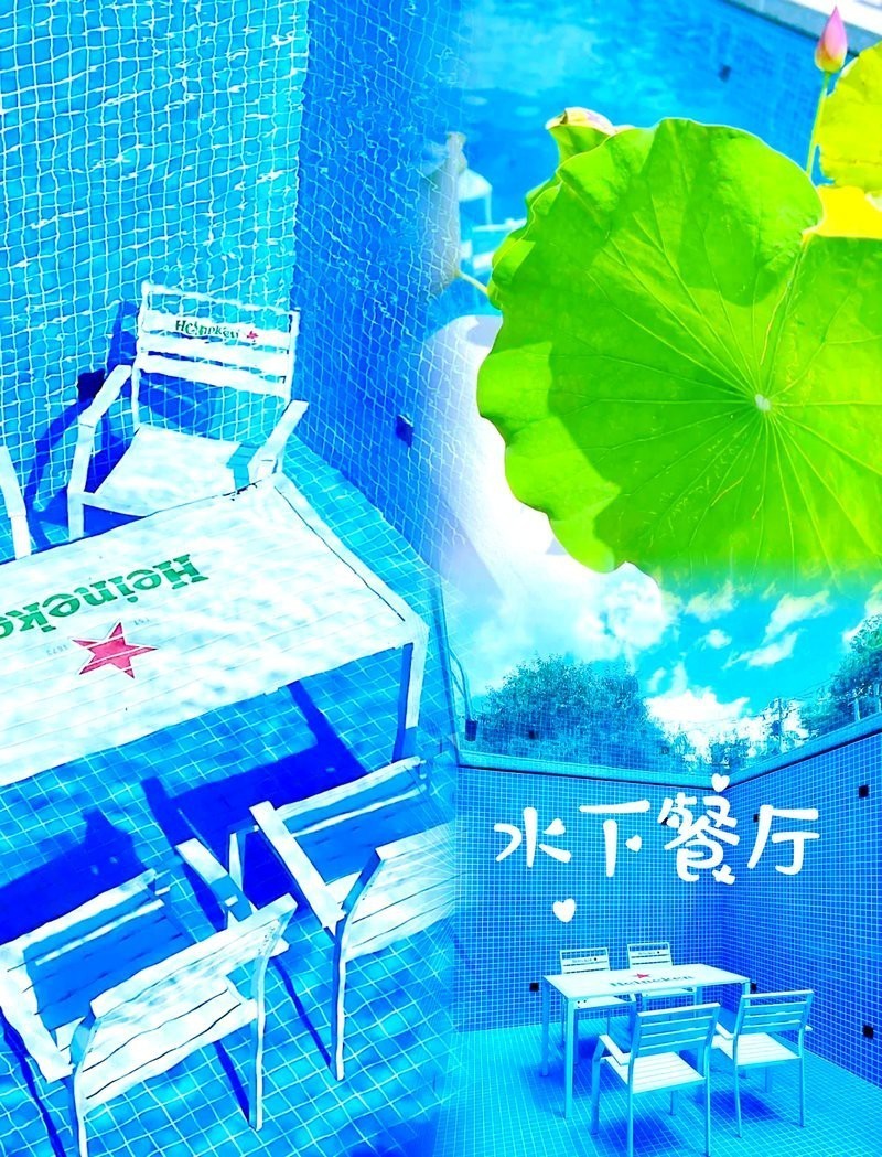 懷柔水族店，北京十里河地鐵口水族館探秘旺旺雪丙藍妹醬三湖慈鯛水族店 懷柔水族店，北京十里河地鐵口水族館探秘旺旺雪丙藍妹醬三湖慈鯛水族店 全國水族館企業名錄 第3張