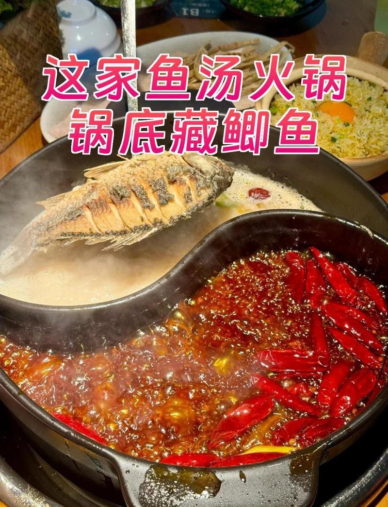 行唐龍魚店，大熊的生活小記