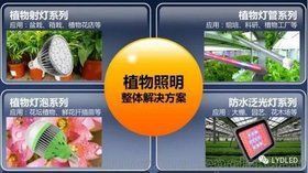 青島水族批發市場，青島南山花鳥魚蟲市場