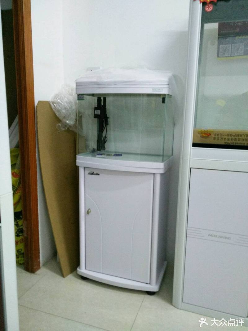 東至水族店，東至縣花鳥魚寵水族館 東至水族店，東至縣花鳥魚寵水族館 全國水族館企業名錄 第2張