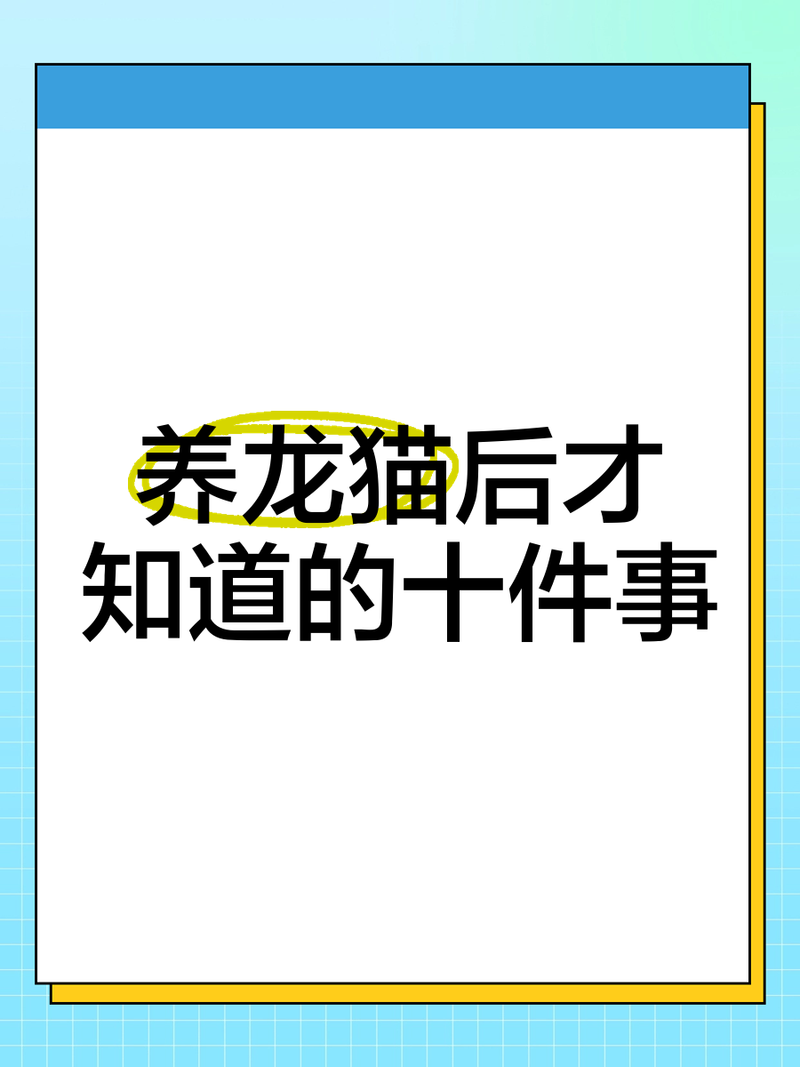 養龍貓的10個忠告，《不要在它胡須上搞事情》