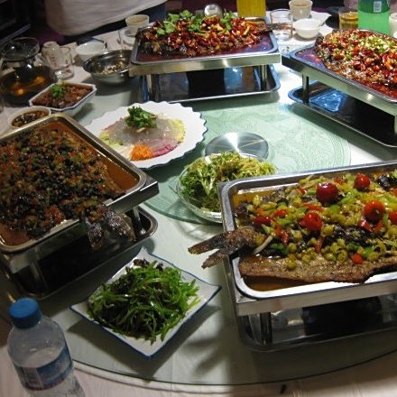 <strong><mark>海林</mark></strong>龍魚店，環(huán)翠區(qū)龍魚坊水族館