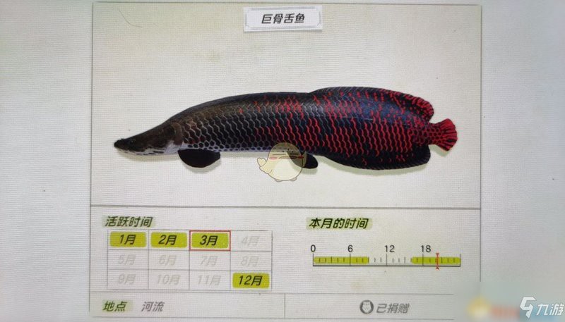 動森骨舌魚，《集合啦動物森友會》南半球珍稀魚類游戲《集合啦動物森友會》