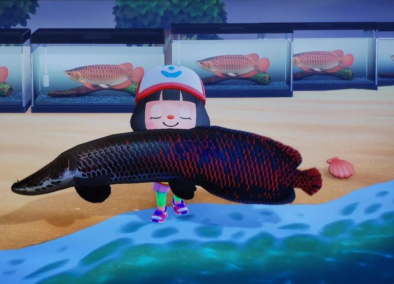 動森骨舌魚，《集合啦動物森友會》南半球珍稀魚類游戲《集合啦動物森友會》