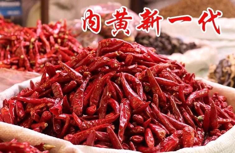 綠辣椒的不同寓意，無齋山人談異錄,性隱喻、階級流動、文化象征意義